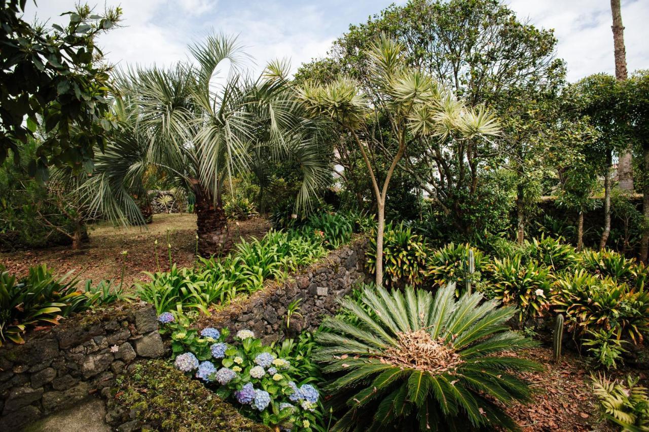 Casa Das Palmeiras São Vicente Ferreira Extérieur photo