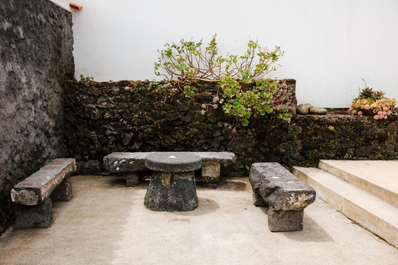Casa Das Palmeiras São Vicente Ferreira Extérieur photo